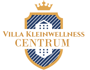 villa-logo 1